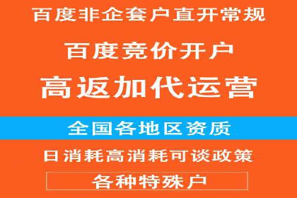 深度解析：百度竞价代理的优化策略与成功案例